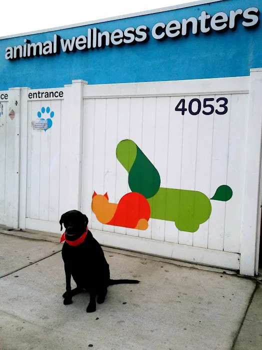 Animal Wellness Centers Picture 2