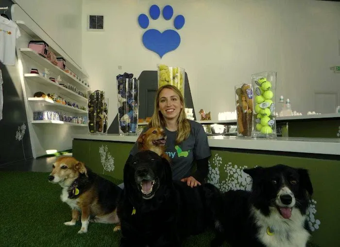 Animal Wellness Centers Picture 10