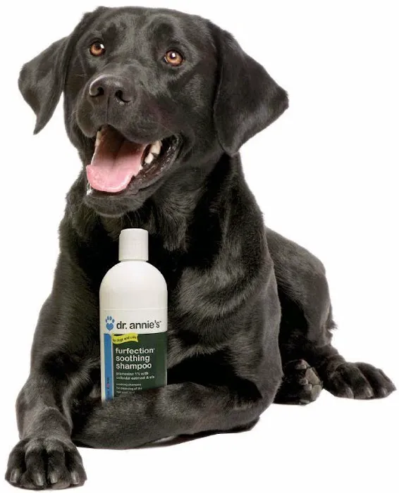 Animal Wellness Centers Picture 9
