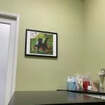 The Cat Hospital