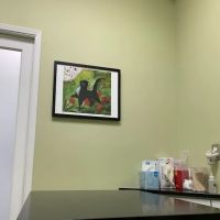 The Cat Hospital ico