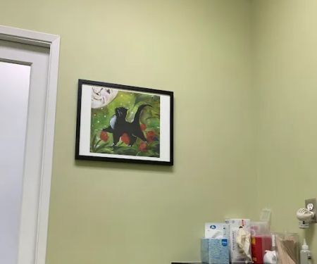 The Cat Hospital
