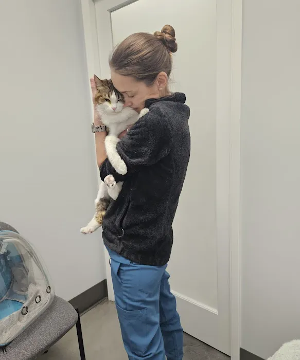 The Cat Hospital Picture 3