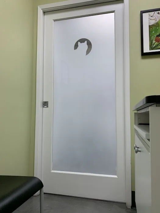 The Cat Hospital Picture 2