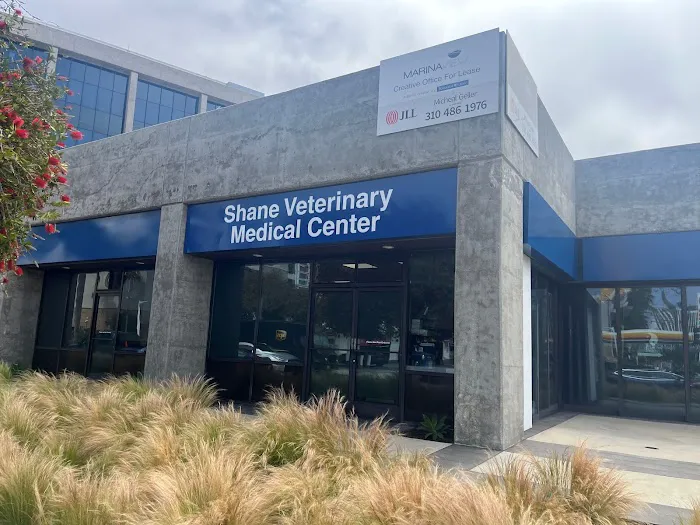 Shane Veterinary Medical Center Picture 8