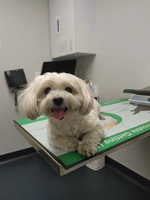 McGrath Veterinary Center Picture 3