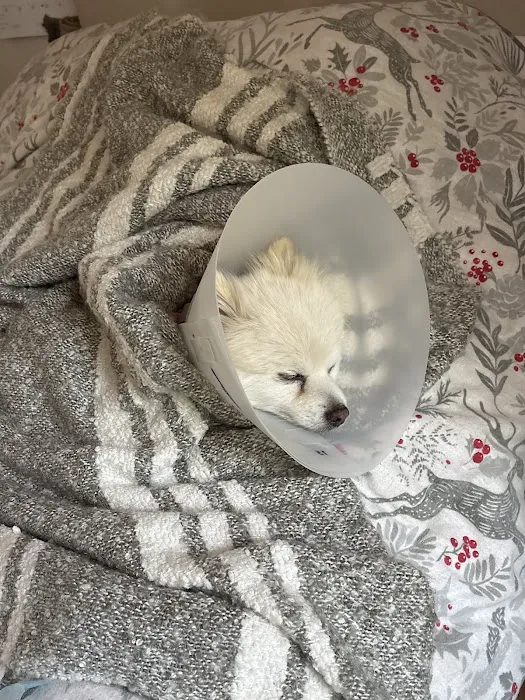 McGrath Veterinary Center Picture 5