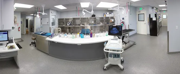 McGrath Veterinary Center Picture 7