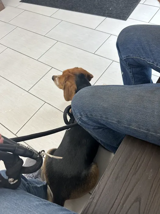 Panorama Pet Hospital Picture 9
