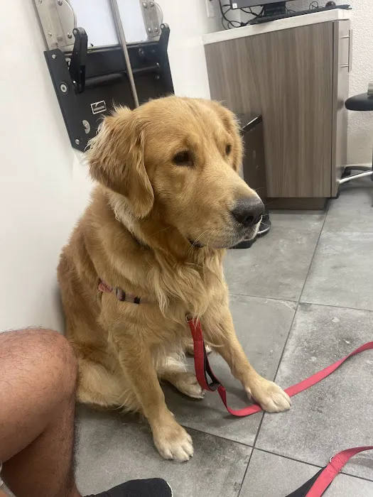 Van Nuys Veterinary Clinic Picture 3