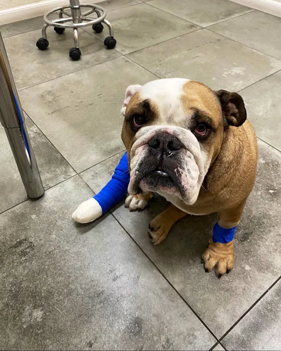 Van Nuys Veterinary Clinic Picture 8