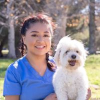 Lake Balboa Veterinary Care ico