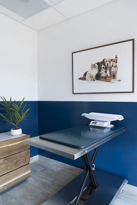 Lake Balboa Veterinary Care Picture 8