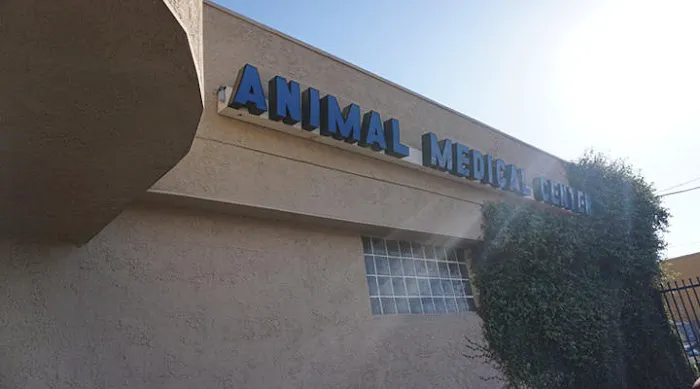 VCA Animal Medical Center Picture 10