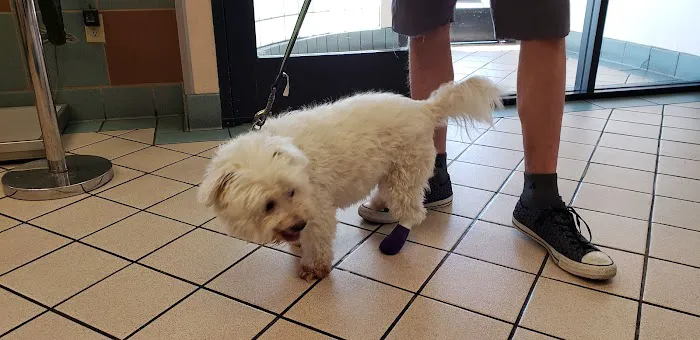 VCA Animal Medical Center Picture 7