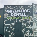 Green Dog Dental and Veterinary Center