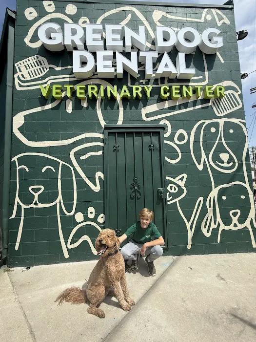 Green Dog Dental and Veterinary Center Picture 3