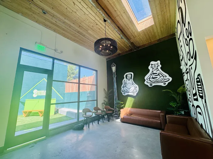 Green Dog Dental and Veterinary Center Picture 7