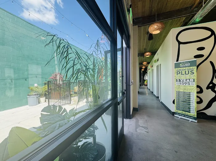 Green Dog Dental and Veterinary Center Picture 8