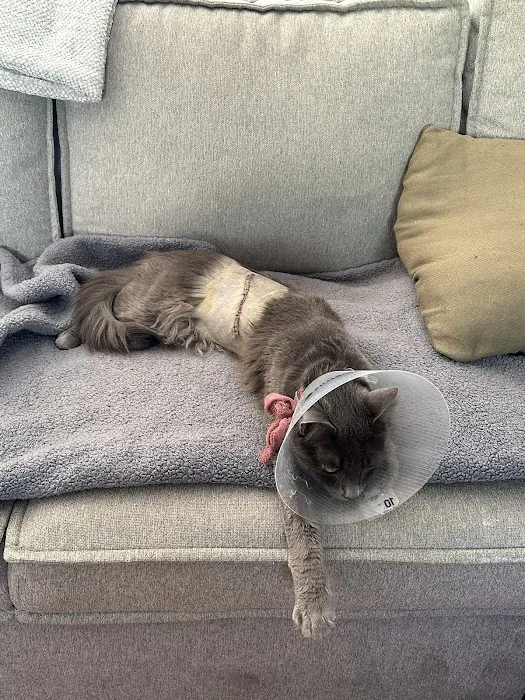 Vet Care Animal Center Picture 7