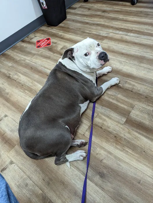 Foothill Vet Clinic Picture 2