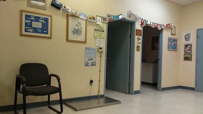 Shadow Hills Pet Clinic Picture 4