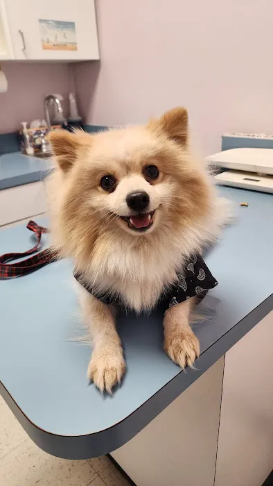 Shadow Hills Pet Clinic Picture 6