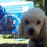 Holiday Humane Society Clinic ico