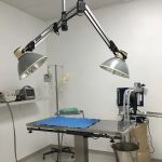 West LA Veterinary Group