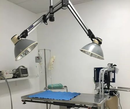 West LA Veterinary Group