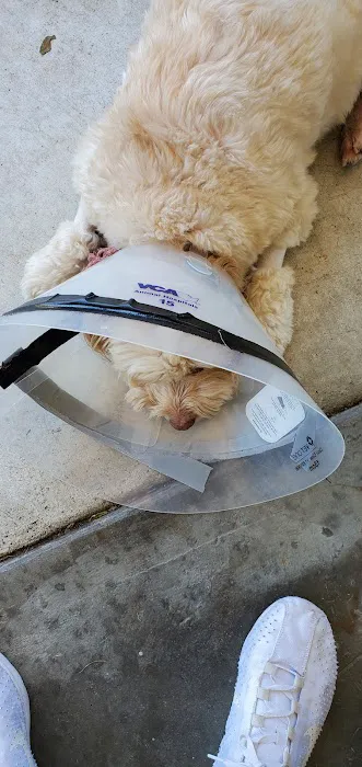 West LA Veterinary Group Picture 6