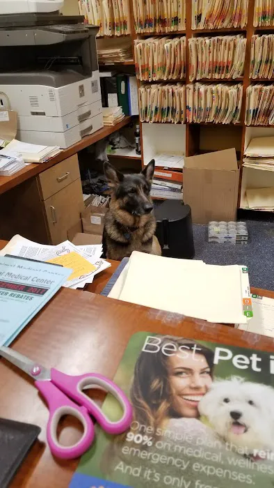 Mar Vista Animal Medical Center Picture 9