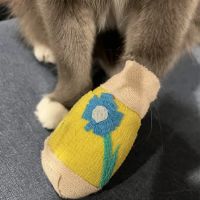 VCA Animal Hospitals Urgent Care - Mar Vista ico