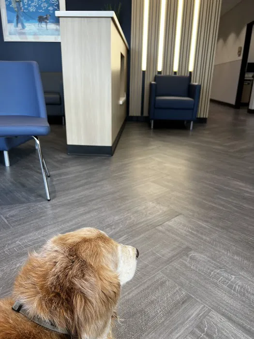 VCA Animal Hospitals Urgent Care - Mar Vista Picture 6