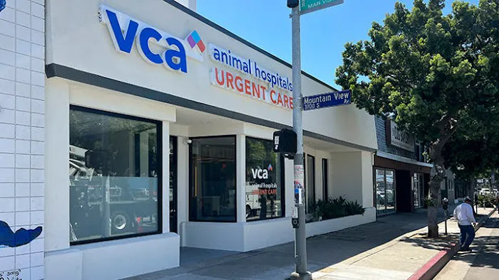 VCA Animal Hospitals Urgent Care - Mar Vista Picture 8
