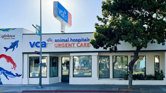 VCA Animal Hospitals Urgent Care - Mar Vista Picture 7