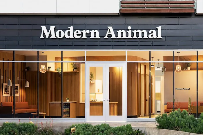 Modern Animal Picture 5