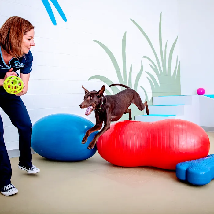 PAW REHAB Pacific Animal Wellness Rehabilitation Center Picture 8