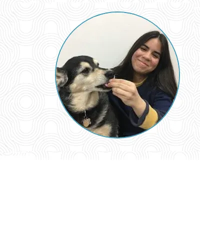 Beverly Oaks Animal Hospital Picture 8