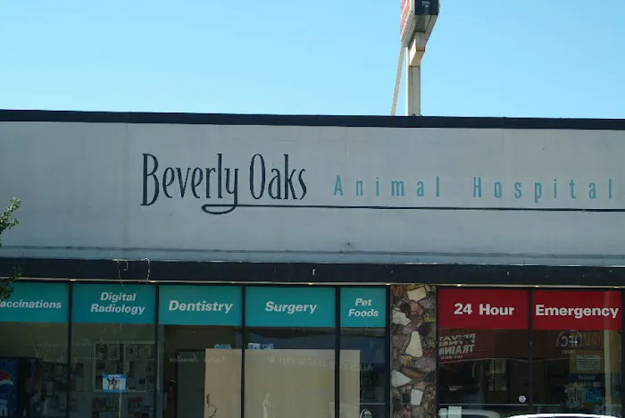 Beverly Oaks Animal Hospital Picture 5