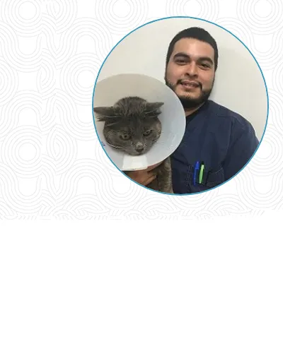 Beverly Oaks Animal Hospital Picture 10