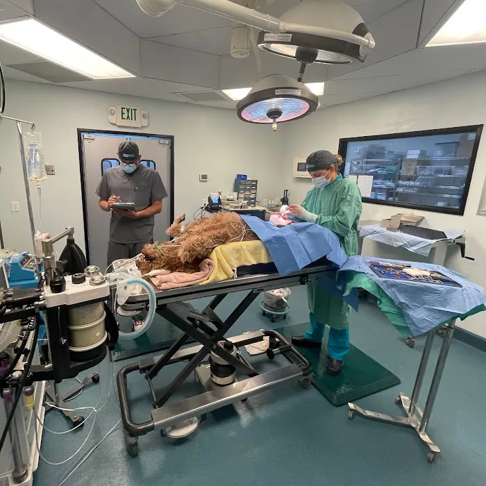 Simon Veterinary Surgical - Sherman Oaks Picture 9