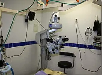 Complete Animal Eye Care Center Picture 10