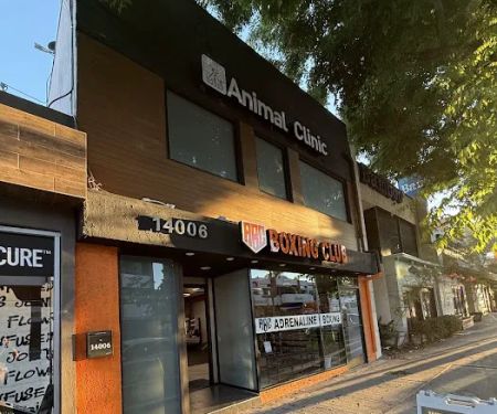 Veterinary Hospital Animal Clinic International Inc.