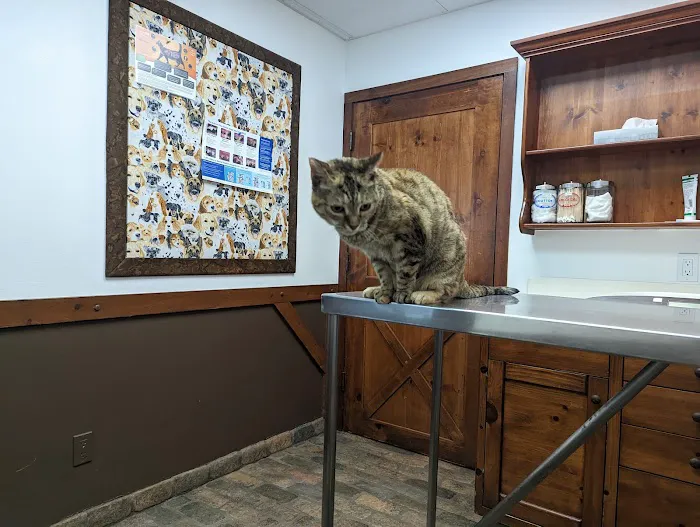 Sherman Oaks Veterinary Group Picture 6