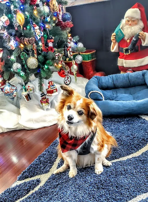 Sherman Oaks Veterinary Group Picture 7
