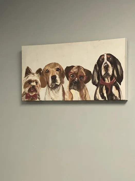 Sharp Pet Hospital Picture 3