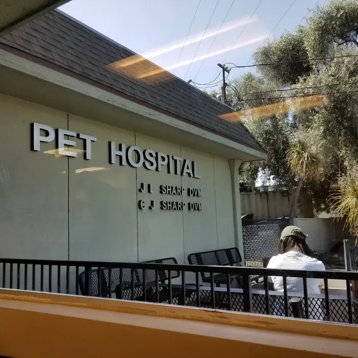 Sharp Pet Hospital Picture 9