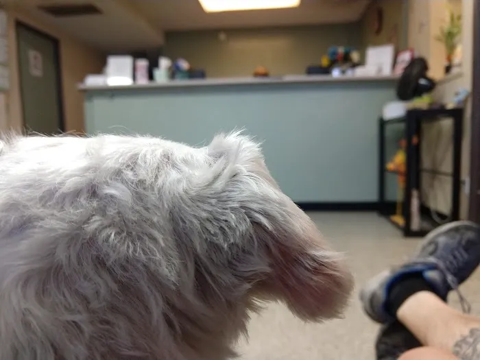 East Valley Veterinary Clinic Picture 2