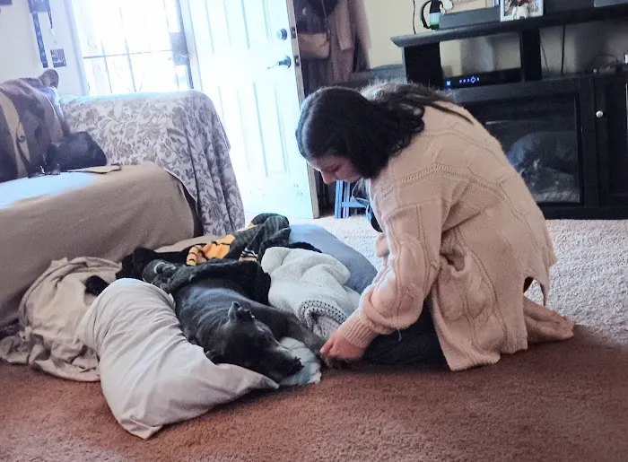 Green Meadows Veterinary Care - In Home Pet Euthanasia Picture 6